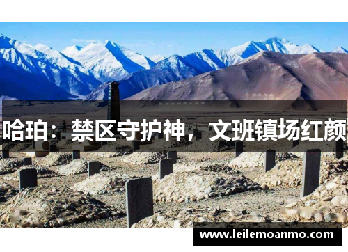 哈珀：禁区守护神，文班镇场红颜